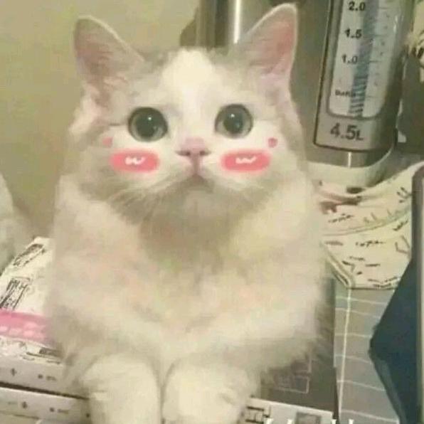 记录美好生活！