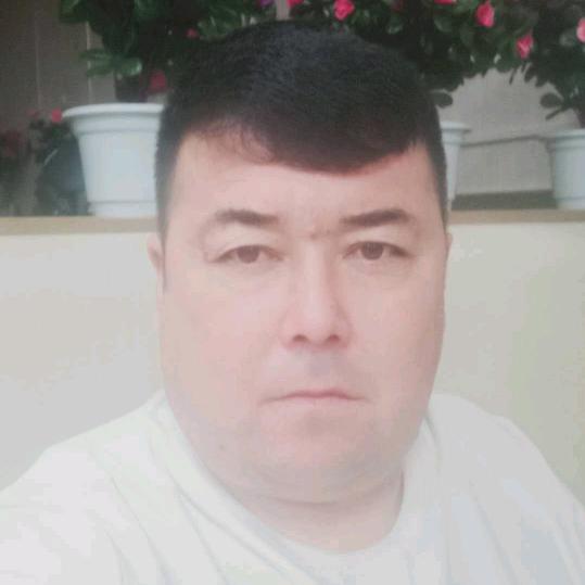 新疆巴雅湾国际运输服务有限公司