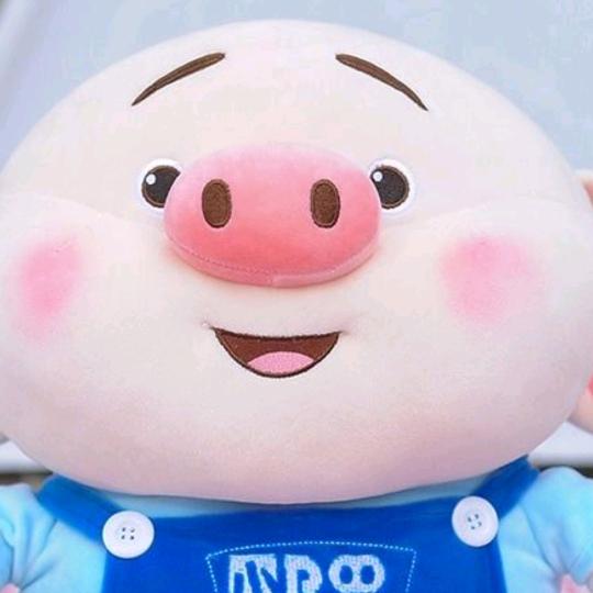小🐷