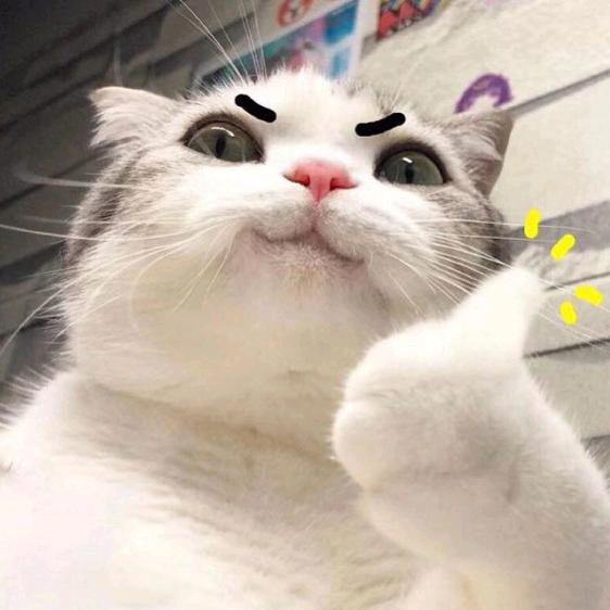 zxy你何德何能