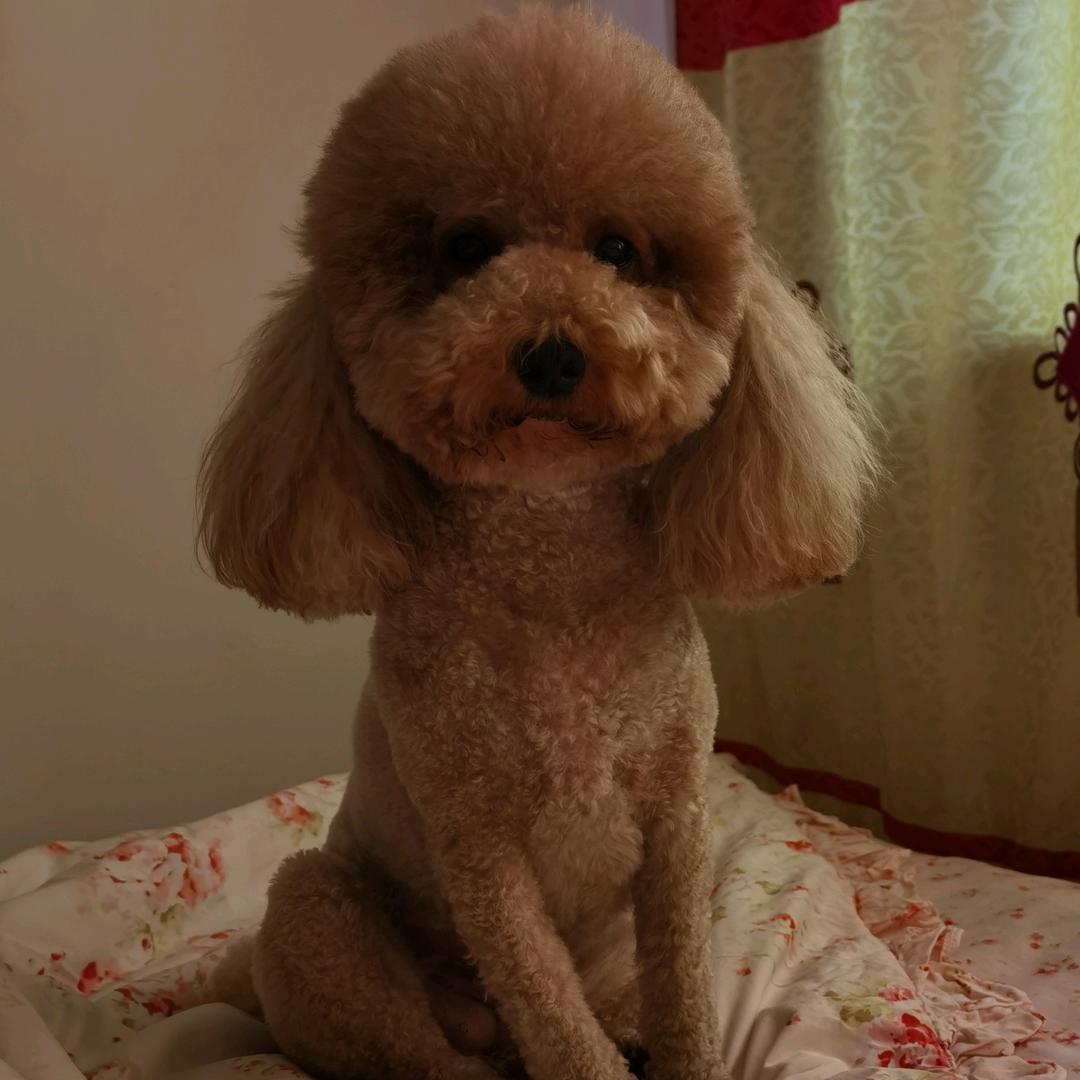 如意姐爱百万吖