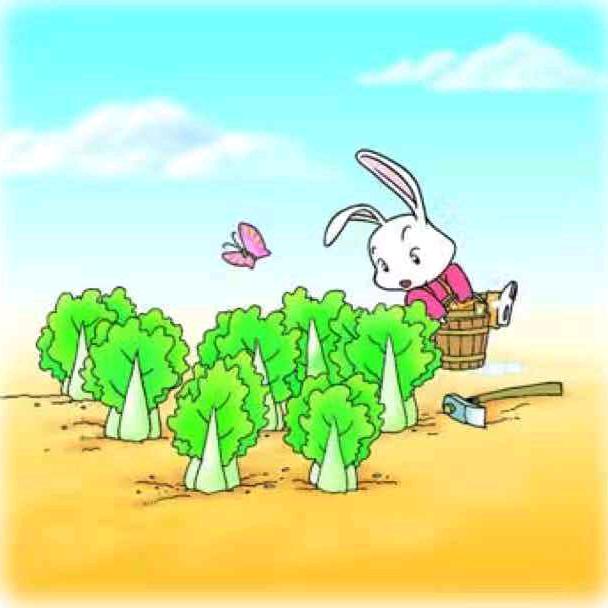 贝壳里的珍珠