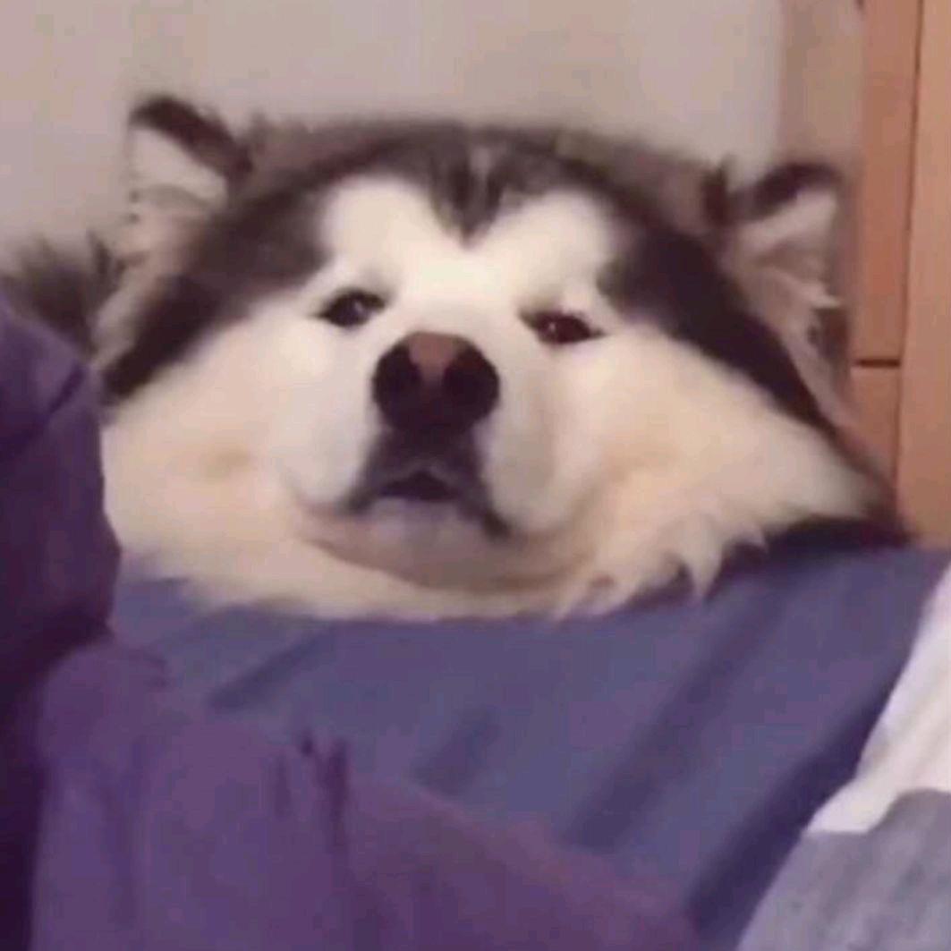 狂扇哑巴那张好嘴