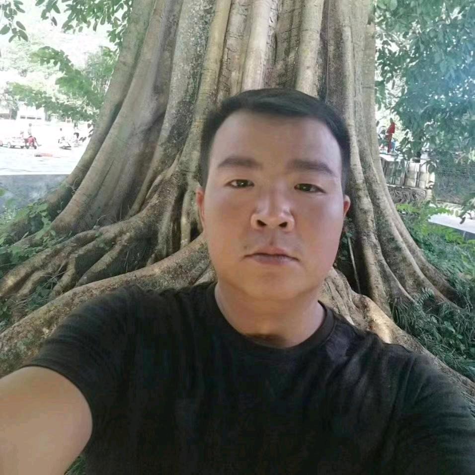 陈金权