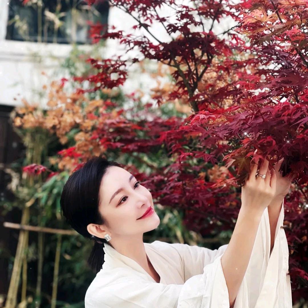 🇨🇳小鱼🇨🇳