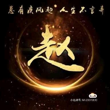 心赵不宣