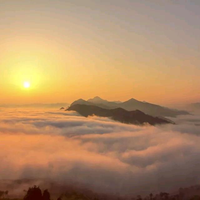 雾漫了风景（拒私聊）