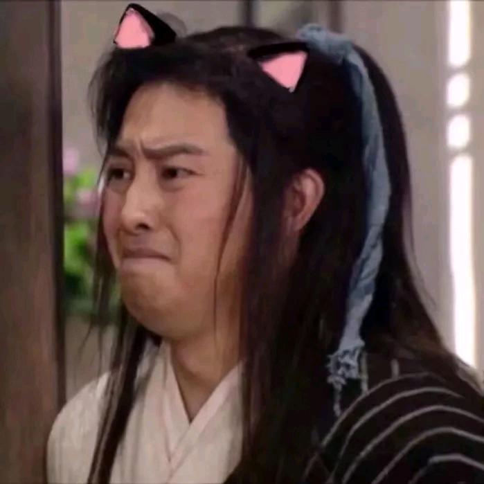 撩狗的喵星人