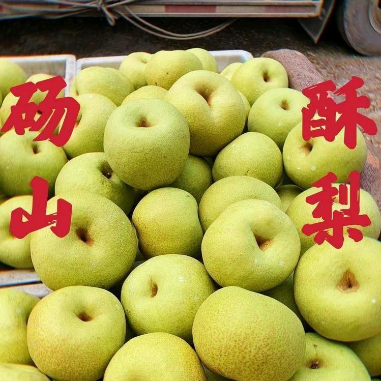 又甜又脆砀山梨