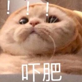 lor