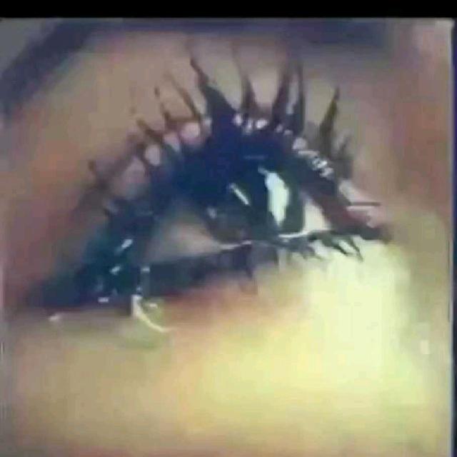 我不是💔木偶🎋