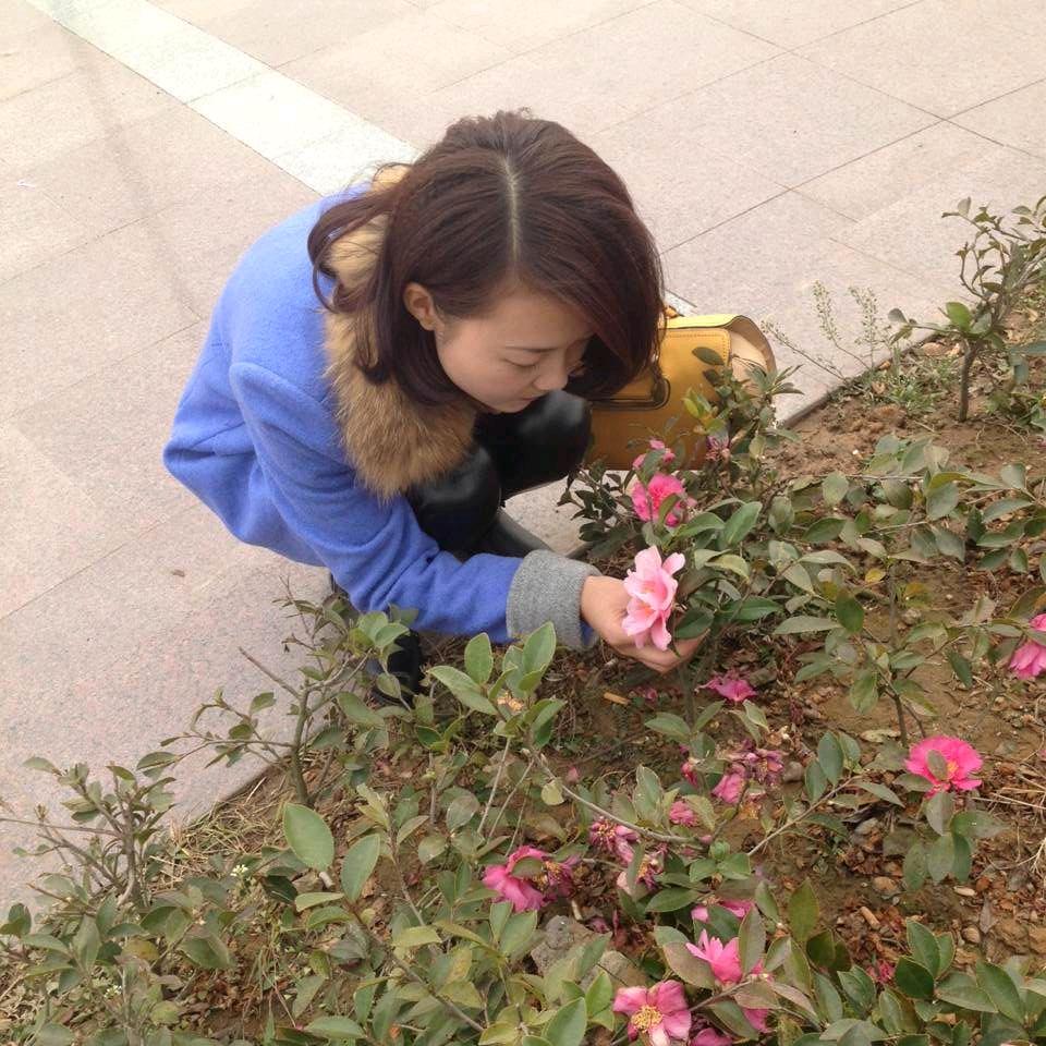 芳程