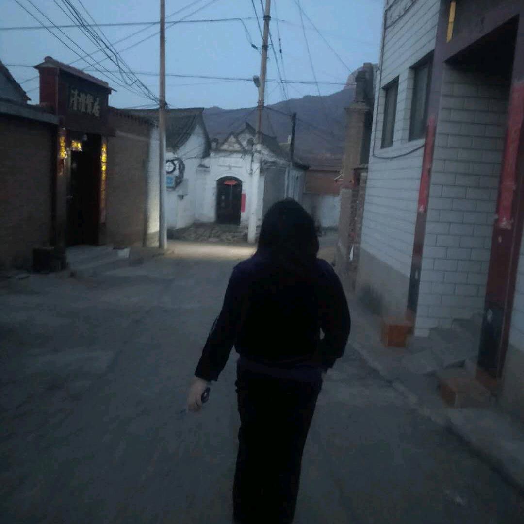 桐峪王嫂