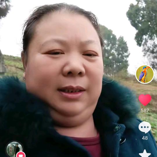 陈琼