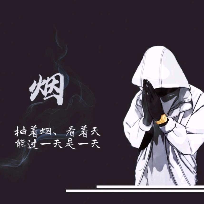 猪头三哥头像