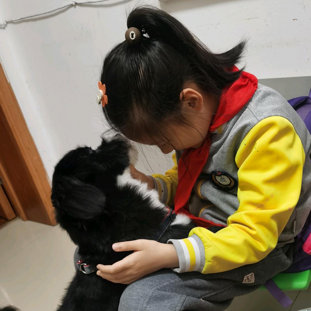 苹果