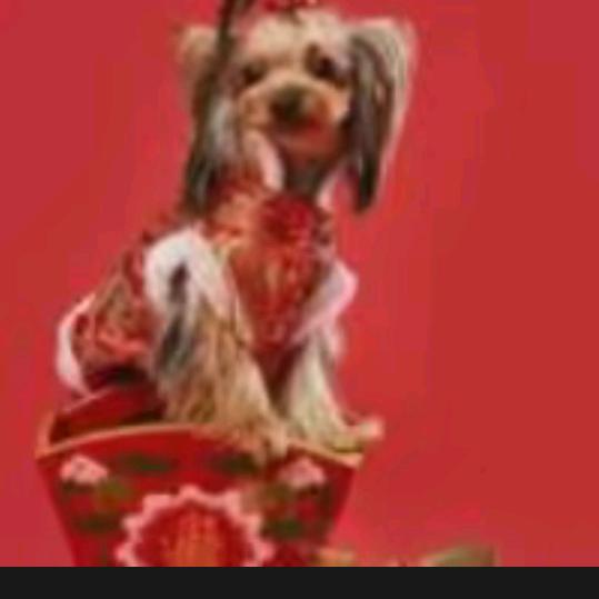 诚接沈阳门头牌匾