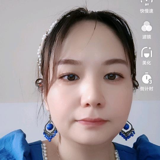 龙姿凤采