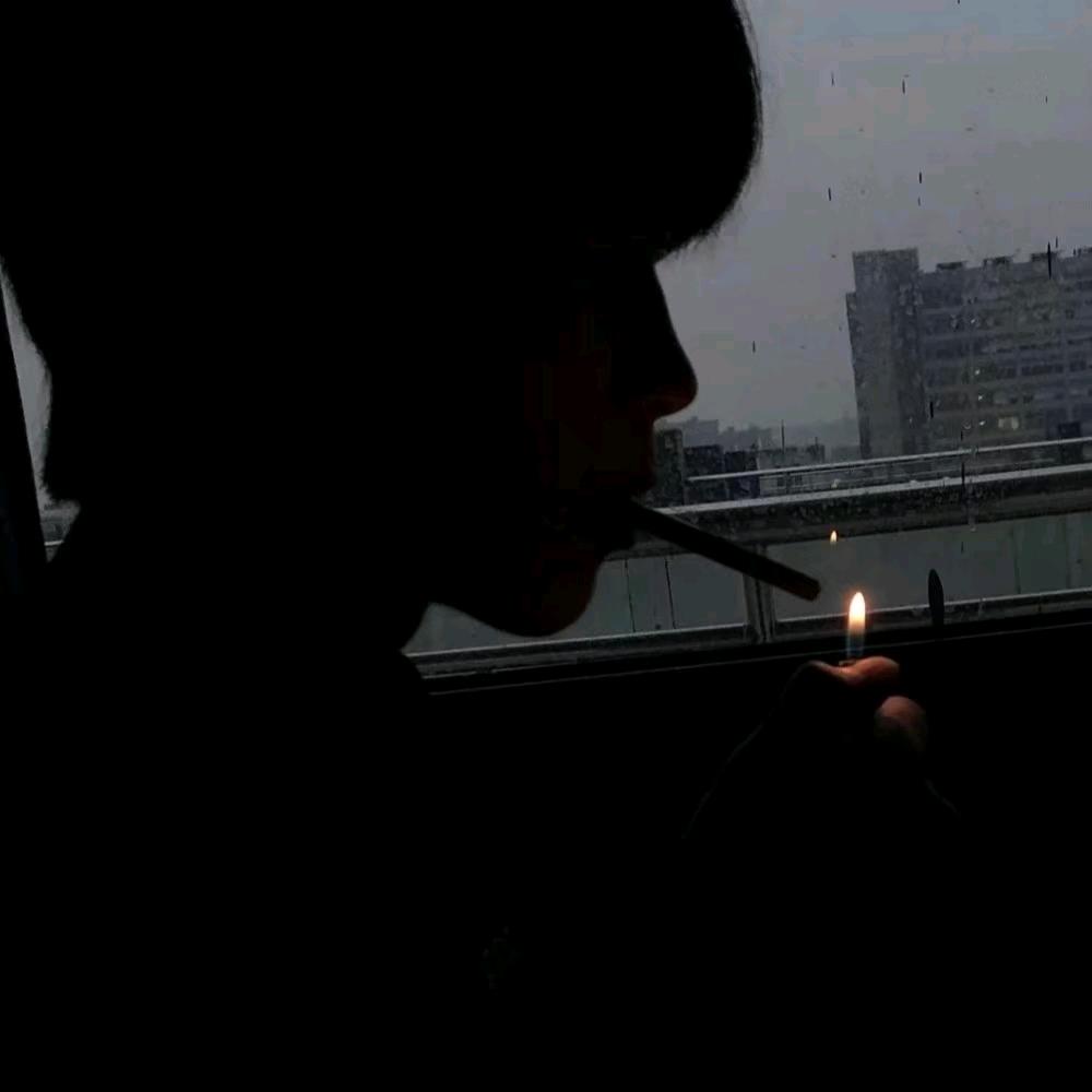 ༺ 随心所欲 ༻