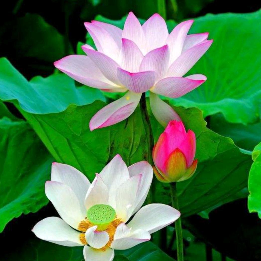 不忘初心1314🌾