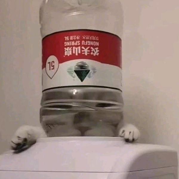 徐徐子