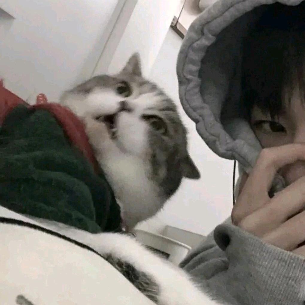 北方以北␨␨␨