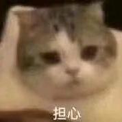 几个目敢和我这么说话