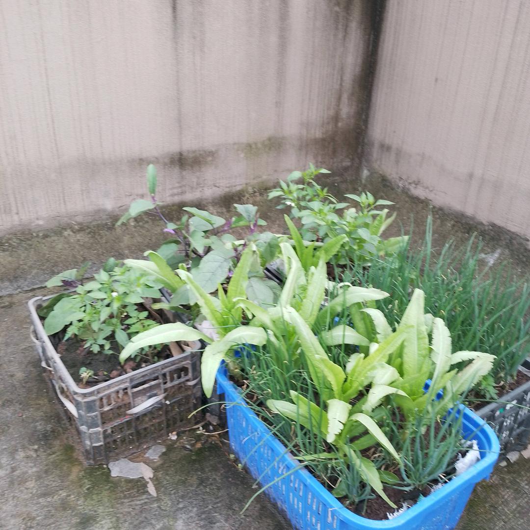 人生江浮