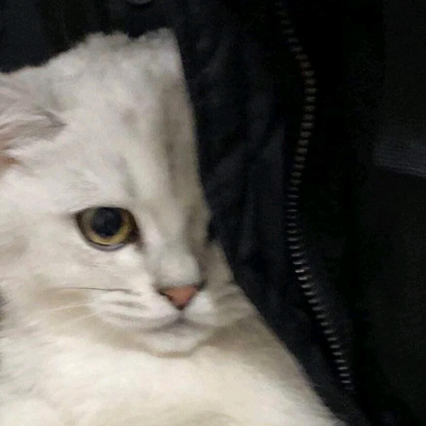 一灰一尽