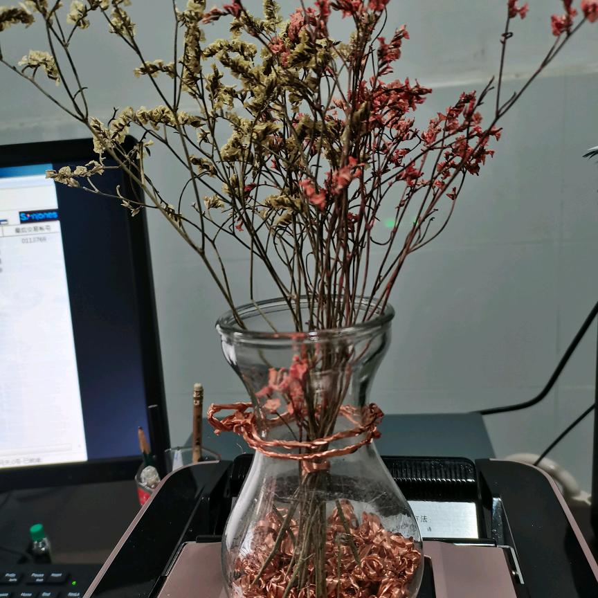 用户名静