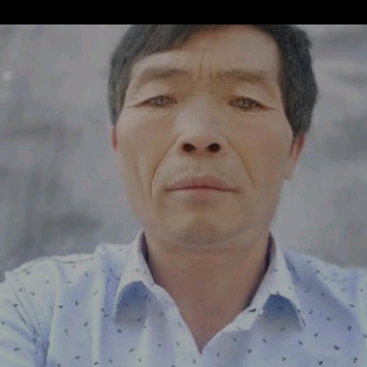 哥的苦你不懂