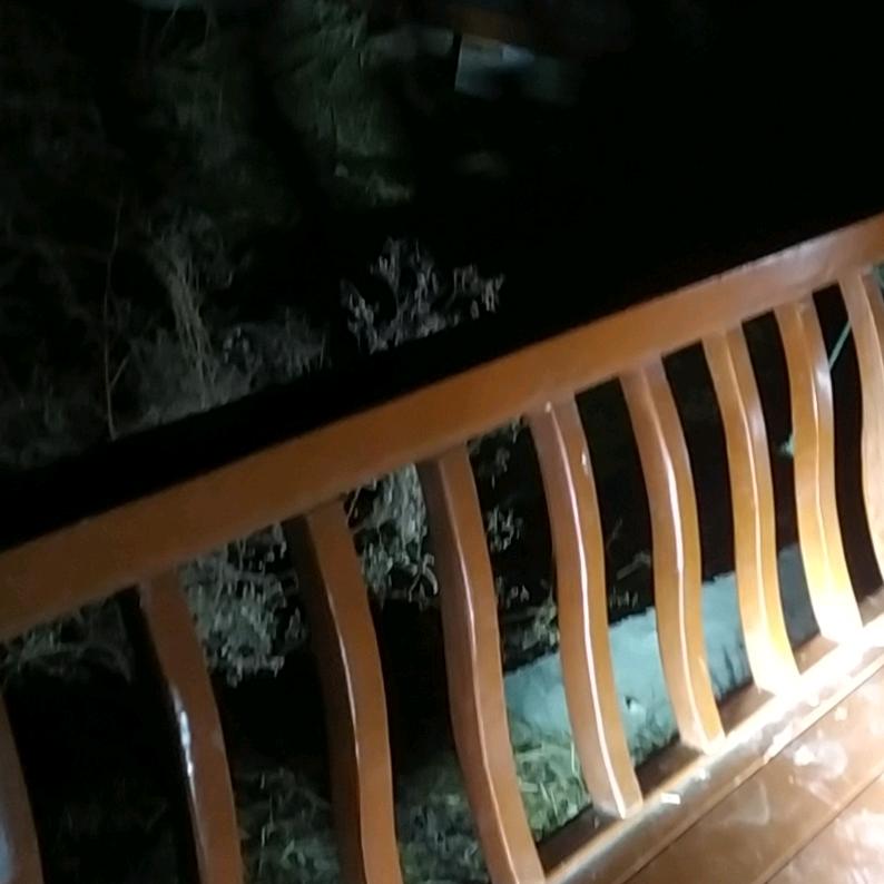 陳