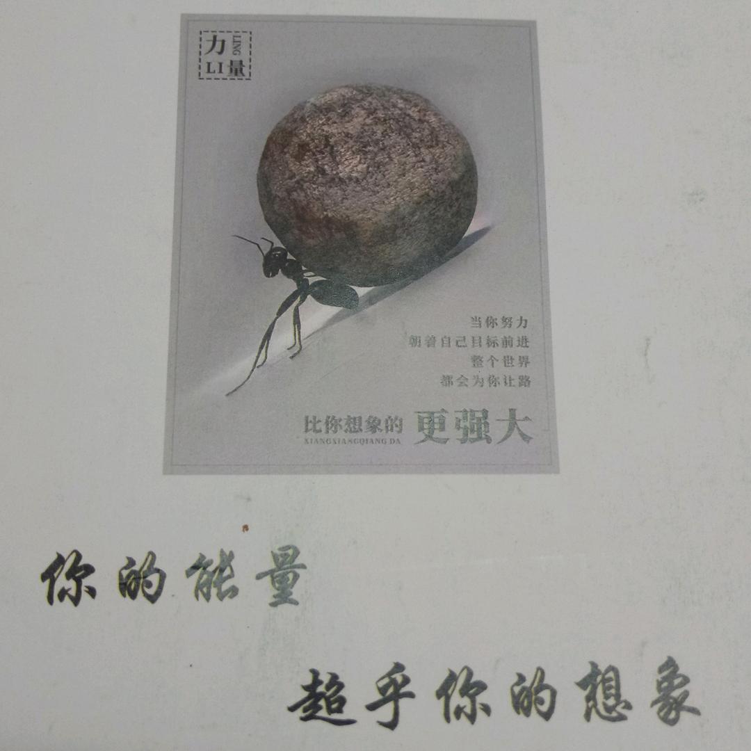 和甲天下