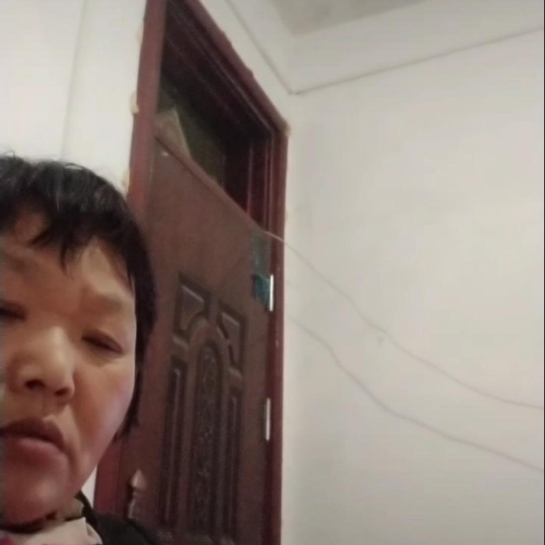 龙腾虎跃