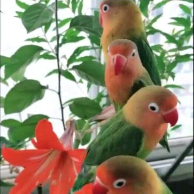 张三