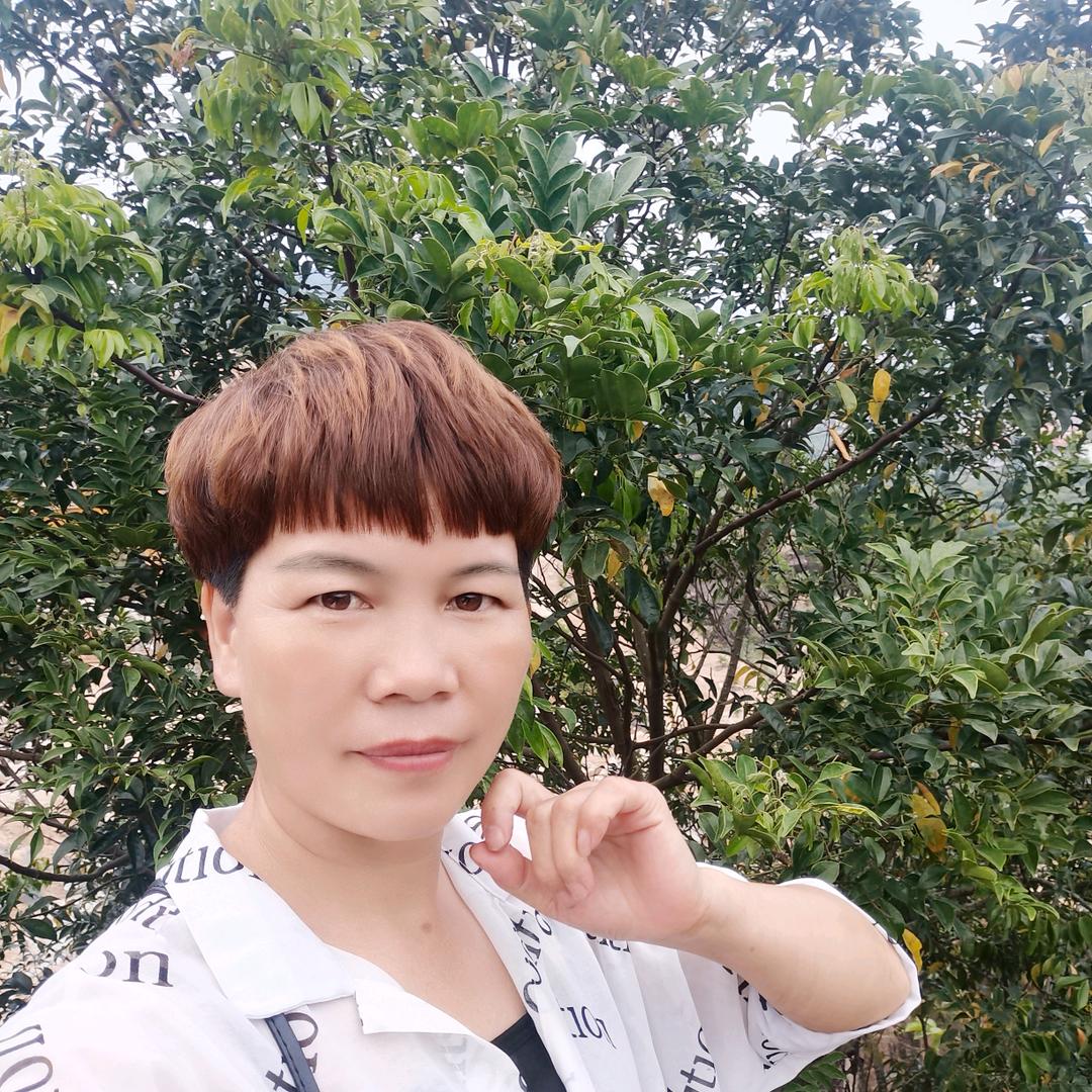 菜叶（群英陶瓷店）