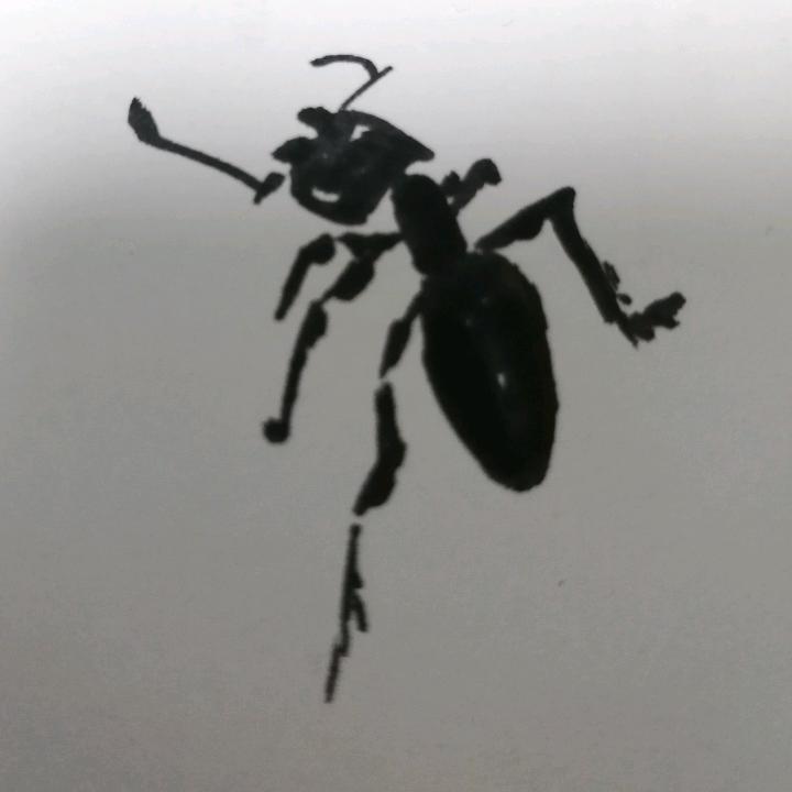 安哥
