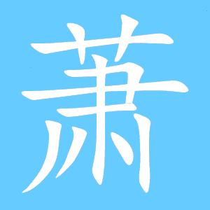 七零后的老大妈  丑女无敌