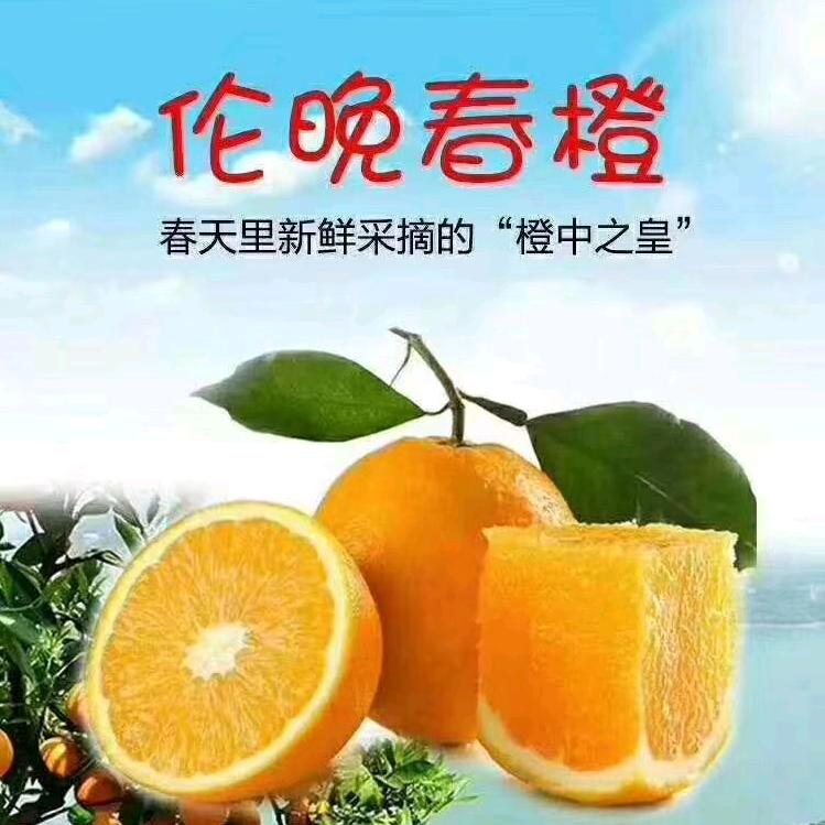 智慧……云阳