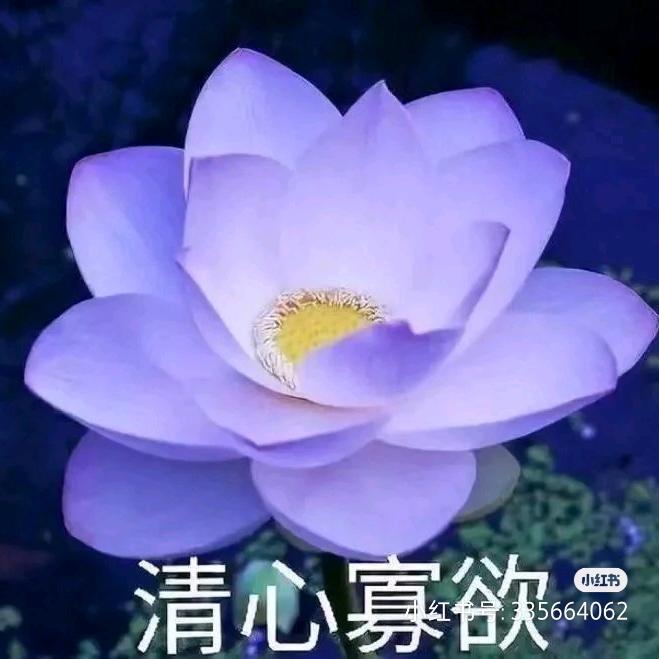 徐林梅
