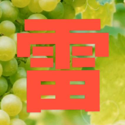 雷朝廷