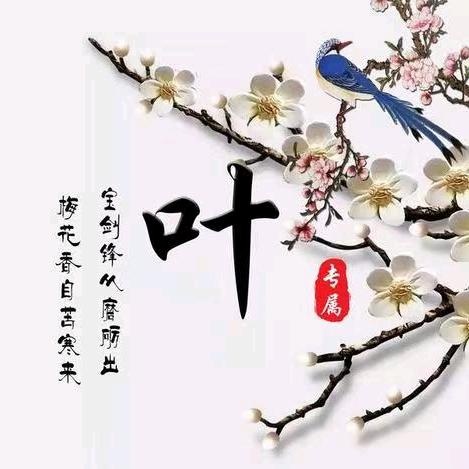 a叶子