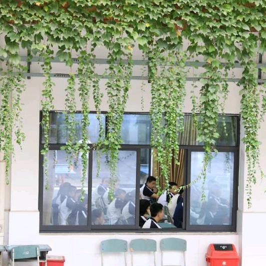 重庆璧山中学东林少年