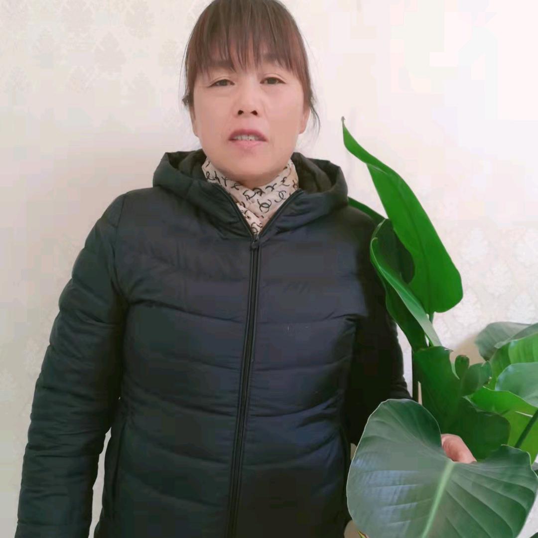朱合芳