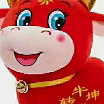 蔚县 小马哥