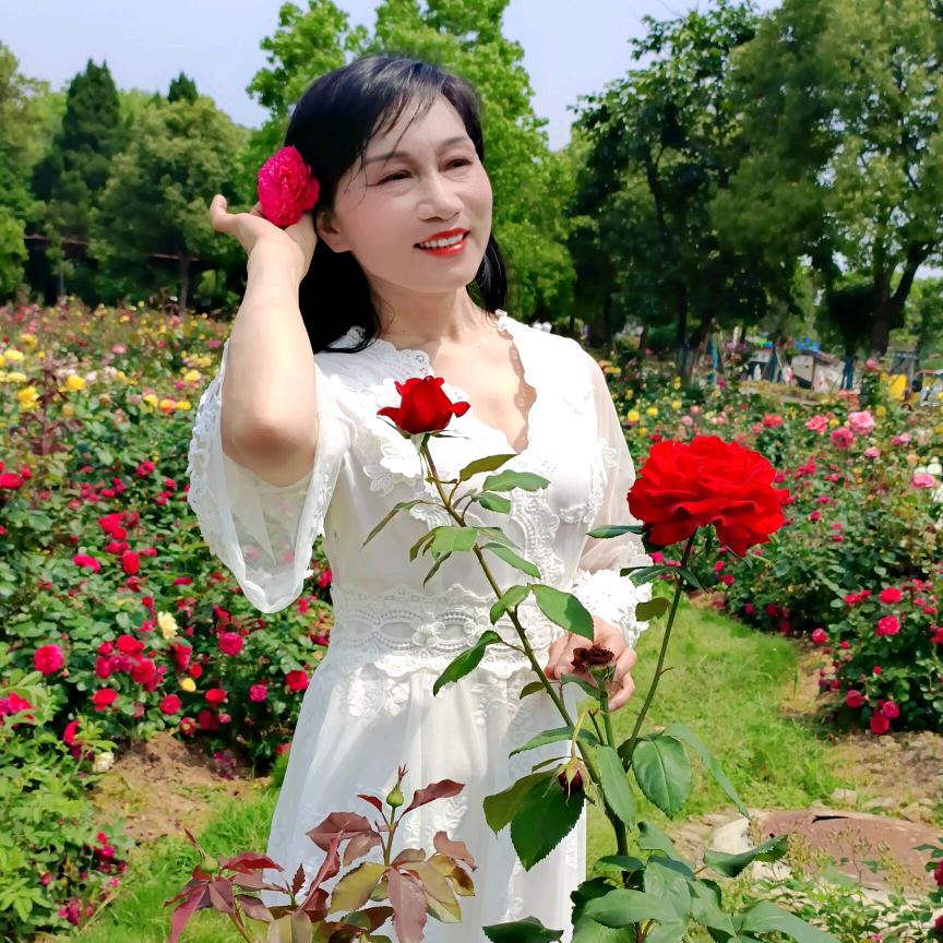 🌸🕊️蓬荜生辉🌞🌹