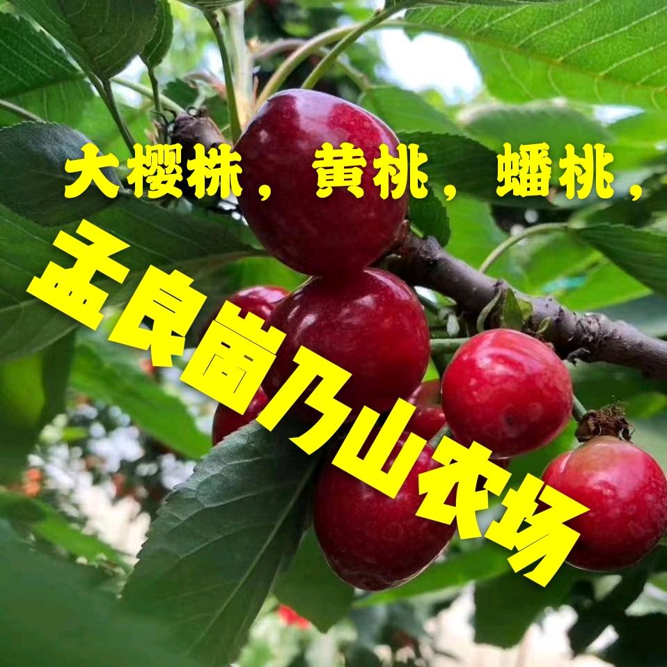 孟良崮社区乃山农场