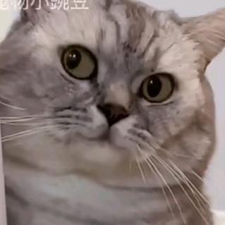 该说……