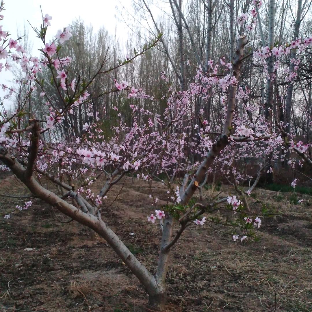用户409519153067濮，顺心自然