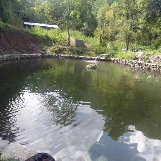 冰哥，四海为家